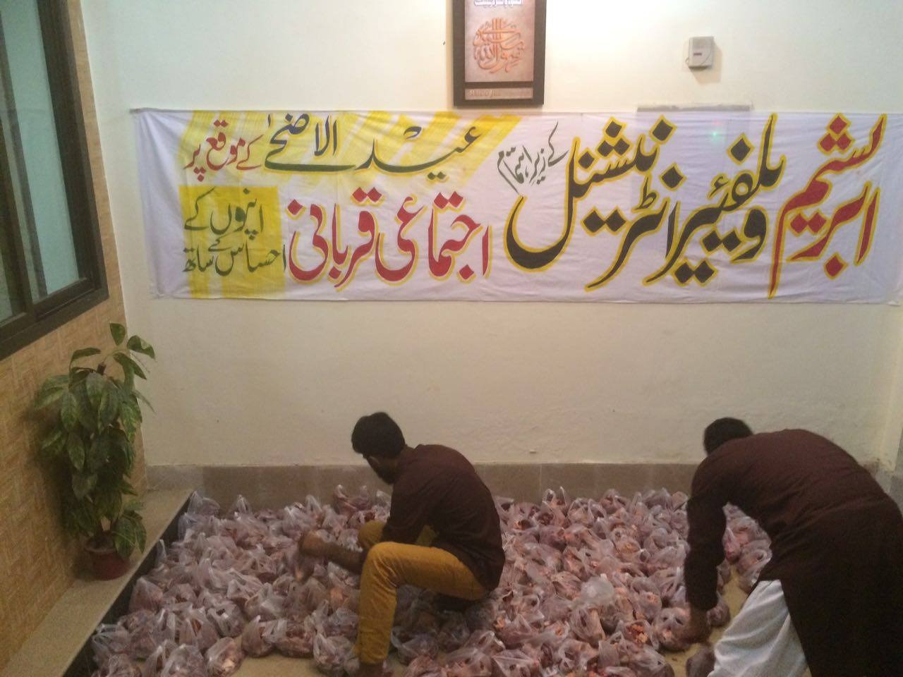 Qurbani